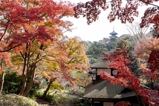三溪園