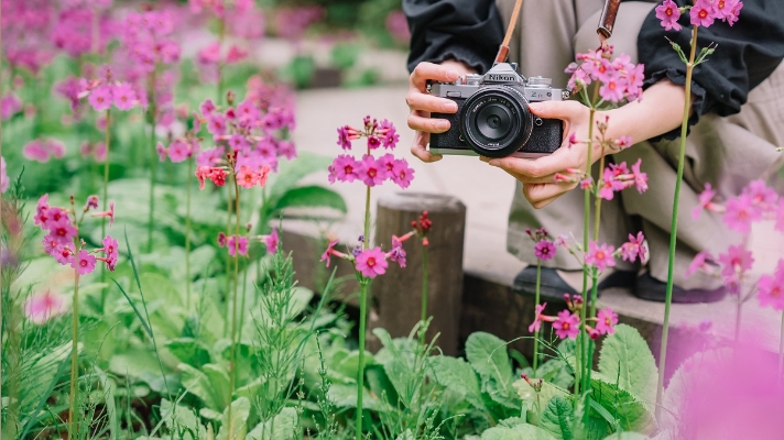 六甲高山植物園_開花状況
