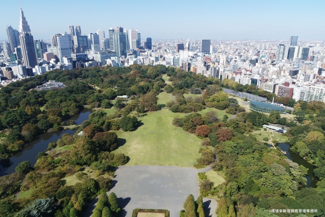 新宿御苑_風景