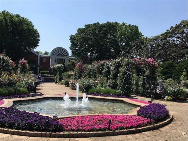 港の見える丘公園_バラとイギリス館