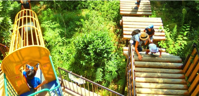 神戸市立須磨離宮公園_アスレチック