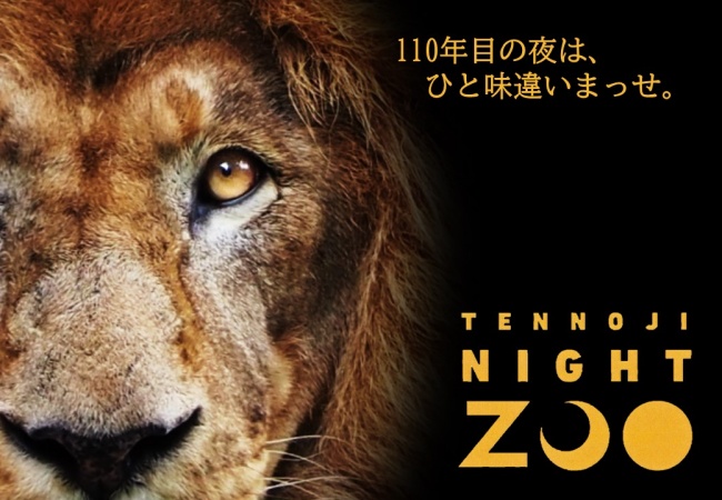 天王寺動物園_ナイトZOO