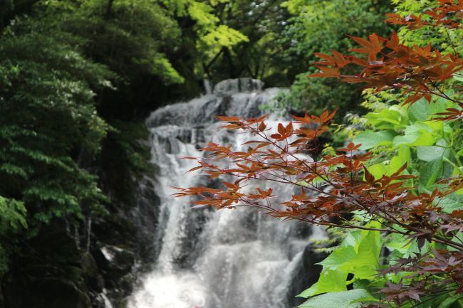 白糸の滝_秋2