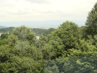 kkDSC04806